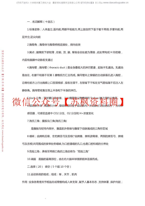 人体解剖学